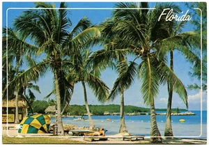 Continental Postcard - Florida - Swaying Palms & Blue Ocean Waters, Beach Scene - Picture 1 of 2