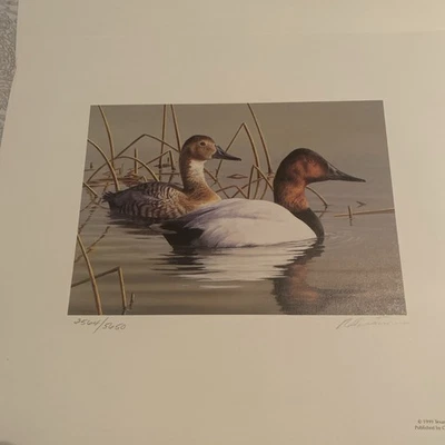 Impresión de estampillas de aves acuáticas de Texas 1999 firmada por Robert Hautman 2564/5650 Foto 1 de 4