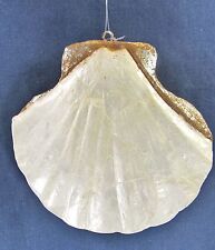 Scalloped Sea Shell Ornament w /Pearlized Finish beach holiday decor