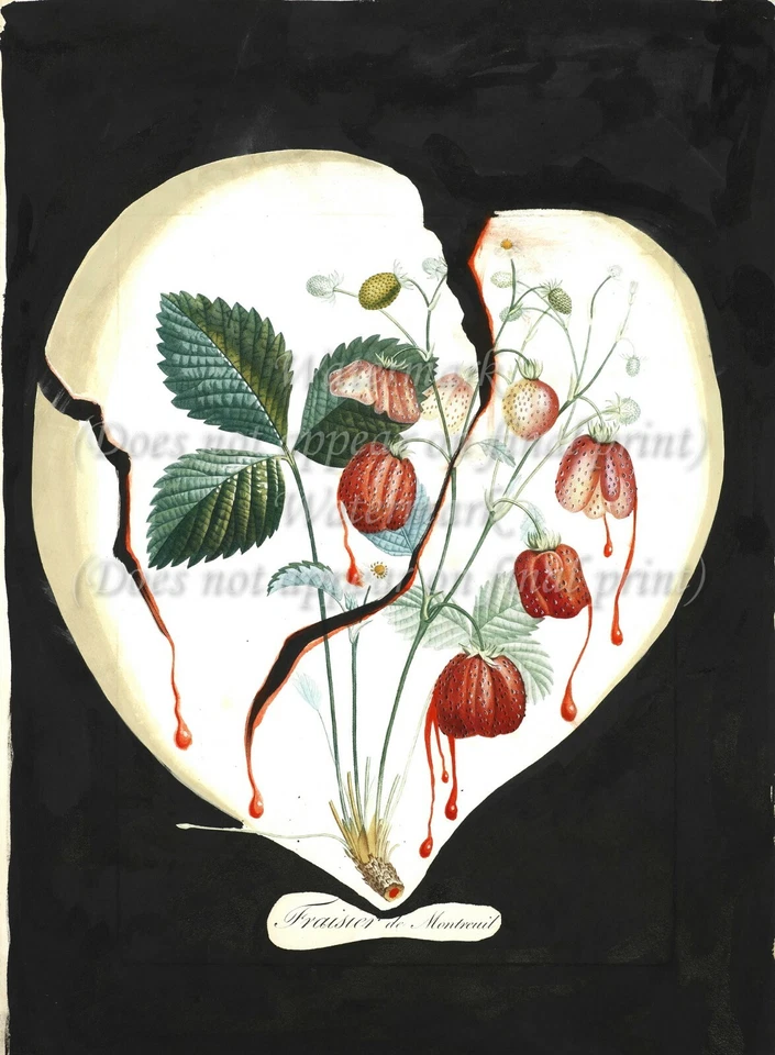 SALVADOR DALI Botanical Art Poster or Rolled Canvas Print "Coeur-de-fraises" - Image 1 of 1
