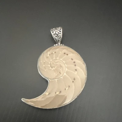  Hermosa cáscara de Nautilus?¿Gema fósil de amonita? Colgante de plata de ley Foto 1 de 4