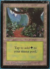 Forest (B Path) Beta VERY HEAVILY PLD Basic Land MTG CARD (ID# 143457) ABUGames