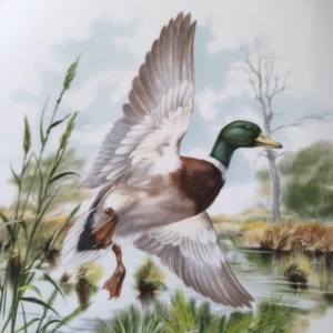 Royal Chelsea MALLARD DUCK Plate Gold Rim Bone China Game Birds Shooting Hunting - Picture 1 of 7