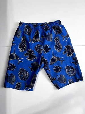 Boys Hurley Board Swim Shorts Blue Shark 14/16 - Image 1 of 3