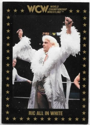 1991 WCW Championship Marketing Singles - Complete Your Set - Sting Ric Flair + - Image 1 of 3