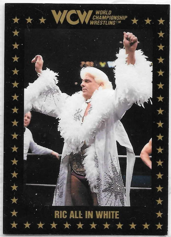 1991 WCW Championship Marketing Singles - Complete Your Set - Sting Ric Flair + - Image 1 of 3