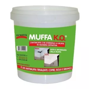 MUFFA KO TECNOSTUK ANTIMUFFA SPECIALE SBIANCANTE COPRENTE IGIENIZZANTE 10 LITRI - Foto 1 di 1