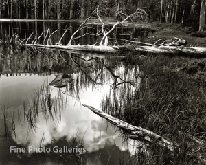 1958/80 Vintage ANSEL ADAMS Landscape Yosemite Siesta Lake Tritone Photo Art - Picture 1 of 1
