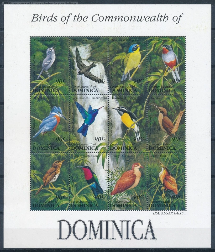 [123147] Dominica 1993 Pássaros pássaro oiseaux beija-flor pomba folha miniatura, sem marca de charneira - Imagem 1 de 1