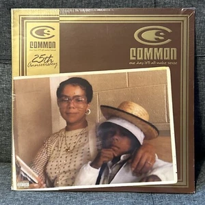 Common One Day It'll All Make Sense Limited Edition 25th Annv. 2lp vinyl record - Picture 1 of 5