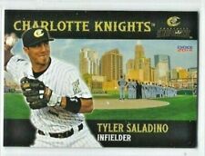 2014 Charlotte Knights (Triple A-Chicago White Sox) Tyler Saladino