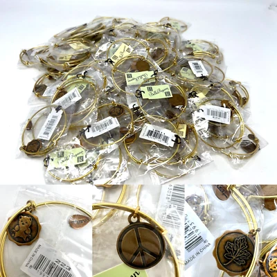 LOTE DE 100 revendedores al por mayor pulseras con dije expandibles Bella Ryann Foto 1 de 4