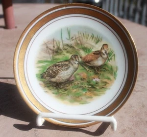 Buchanan Studio 6" Display Teller Witcher Ufer Vögel  - Bild 1 von 7