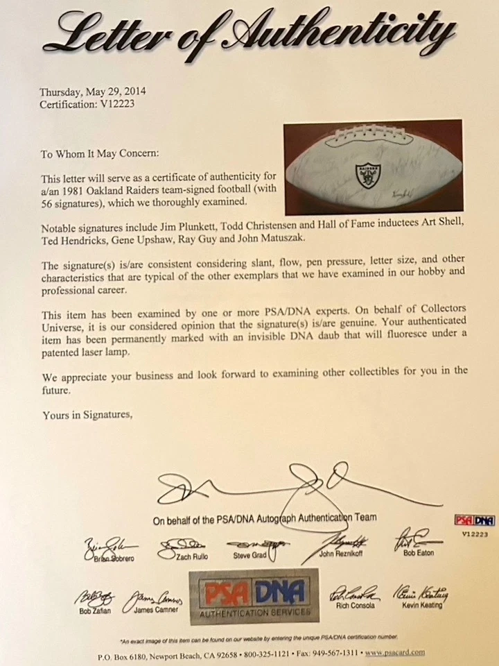Fútbol americano firmado por el equipo Oakland Raiders 1981 - certificado PSA/DNA V12223 - Multi-HOF Foto 1 de 4