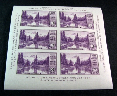 US Stamp Scott# 770 Mt. Rainier 1934 MH with gum L699 — 第 1/2 张图片