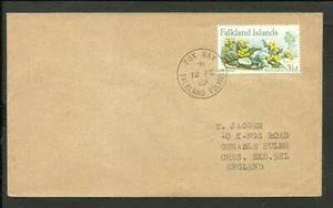FALKLAND 1969 COVER TO GREAT BRITAIN, FOX BAY CANCEL, VF - Picture 1 of 1