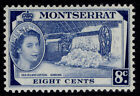 Montserrat Qeii Sg143, 8C Deep Bright Blue, M Mint.