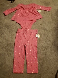 New Garanimals 2 pc Bodysuit and Pants Size 24 Months Pink Babydoll Long Sleeve - Bild 1 von 1