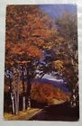 Mountain Vistas Framed In Brilliant Fall Colors In New Hampshire. Postcard (Y1)