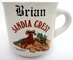 TAZA DE CAFÉ SANDIA CREST DE COLECCIÓN CASI NUEVA RECUERDO DE VIAJE NOMBRE PERSONALIZADO BRIAN - Imagen 1 de 6