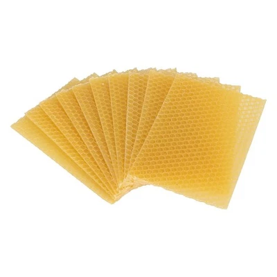 Beeswax Sheets 10Pcs Beeswax Foundation Sheets Wax Foundation for Bee9697 - Image 1 of 4