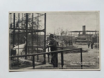 China Manchuria old postcard-park-Hsinking(Changchun,长春) - Image 1 of 2