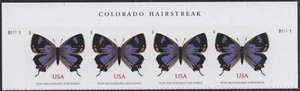 US 5568 Colorado Hairstreak Butterfly NMS header strip 4 MNH 2021 - Picture 1 of 1