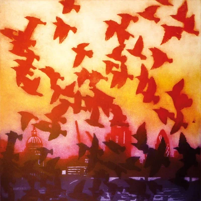 DRY RED PRESS Evening Rush Hour - Fine Art Blank Greeting / Birthday Card Bird Birds Sunset