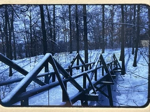 Pellicola vintage 35 mm diapositiva Sauk Trail Woods Forest Preserve South Chicago - Foto 1 di 3