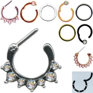 PIERCINGO® SEGMENT CLICKER Scharnier ZIRKONIA SEPTUM Nase Nasenpiercing Klicker - Picture 1 of 40