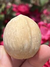Early Vintage Stone Marble Nut Italian Alabaster Stone Alabaster Walnut Stone