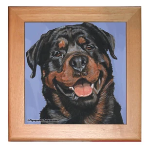Rottweiler Rottie Dog Kitchen Ceramic Trivet Framed in Pine 8" x 8" - Picture 1 of 1