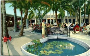 1960s FL Postcard Palm Garden Restaurant Largo Florida St. Petersburg Pond - Picture 1 of 2