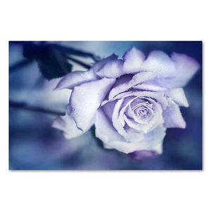 Postereck 1330 Poster Leinwand Vintage Rose, Rosa Blume Blüte Pflanze Liebe - Bild 1 von 7