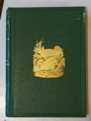 History Of British Birds FO Morris. Illustrated Hand coloured plates. Vol 5 of 6 - Image 1 of 4