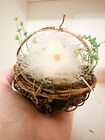Primitive Easter Style Country Chic In Best Basket Sweet Little Bird Feathers