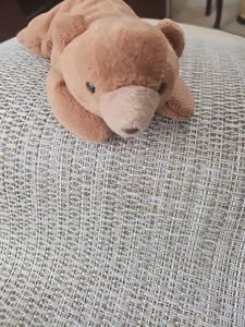 Ty Beanie Baby Cubbie l'orso marrone B3 - Foto 1 di 6