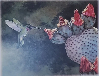 Bev Doolittle “HUMMINGBIRD” Bookplate Prints Wall Art BD69 - Image 1 of 2