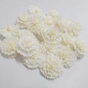 Classic Dried Flower Reed Diffuser Crafted Decor Fragrance Oil Set Wholesale Lot - Picture 1 of 12