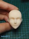 1:6 Violet Evergarden Girl Head Sculpt Carved For 12" Female Action Figure Body