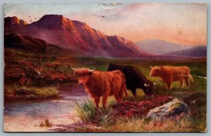 Postcard c1943 Tucks Oilette Highland Cattle A/S A Sherrin Field Post Office 130 - Bild 1 von 2