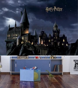 Carta da parati 252x182cm per camera da letto bambini parete fotografica Harry Potter Hogward - Foto 1 di 6