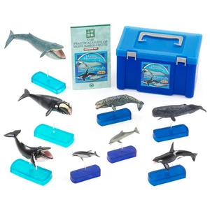 COLORATA Marine Säugetiere DX Figur 8er Set mit Ständern und Anleitung Japan - Bild 1 von 9