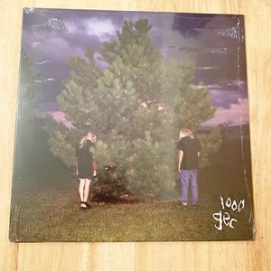 100 Gecs – 1000 Gecs - Dog Show Records – MDS003V - Vinyl LP Record Album 2019 - Picture 1 of 2