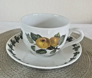 Large Portmeirion Pomona Ingestrie Pippin Breakfast Cup & 20cm Saucer - Picture 1 of 4