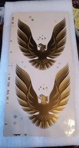 NOS 3M CLEAR VINYL PONTIAC TRANS AM FIREBIRD GOLD PRINTED DECAL STICKER RARE  - Picture 1 of 6
