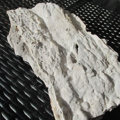 SCHÖNE KORALLE - MEERWASSER - ECHTKORALLE - KOSTENLOSE LIEFERUNG - Bild 1 von 4