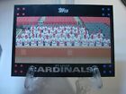 2007 Topps Baseball Card    #228 St. Louis Cardinals Tc    (92762)