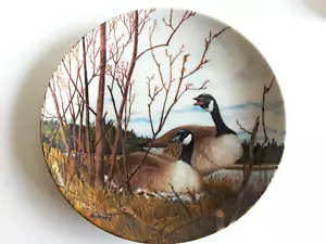 Dominion China LTD “The Nesting” Donald Pentz Decorative Birds Plate Collectible - Picture 1 of 4