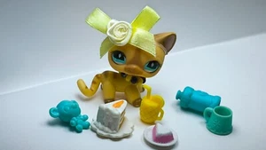 Littlest Pet Shop # 886 Shorthair cat Chat européen Authentic LPS -142 - Imagen 1 de 8